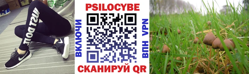 darknet официальный сайт  Петров Вал  Галлюциногенные грибы мухоморы 